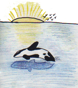 The Sea is so Beautiful. 