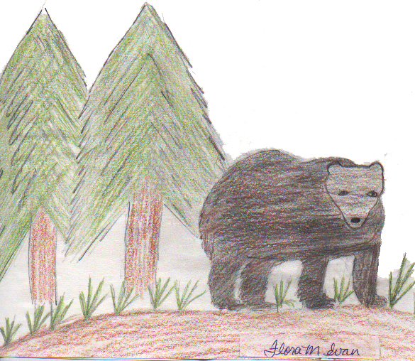 Two Black Bear Experiences