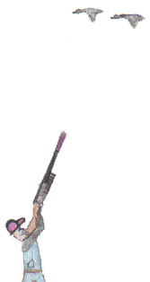 A Summer Vacation To Remember