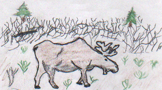 Robert's Trip to Nuksuk