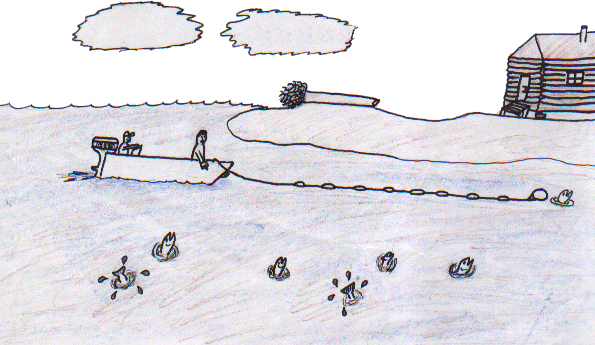 Katemal Shorty's Summer Vacation