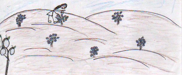 Terri's Exciting Summer 