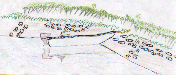 An Adventure up Willow Creek 