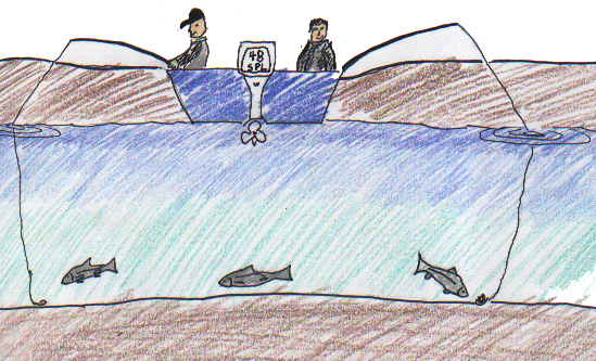 An Exciting Day at Wilson Creek 