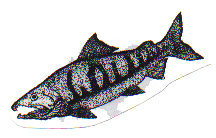 Other Student Stories