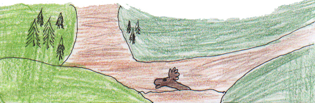 David's Summer Excitement 