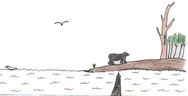 Matthew's Encounter with Bears 