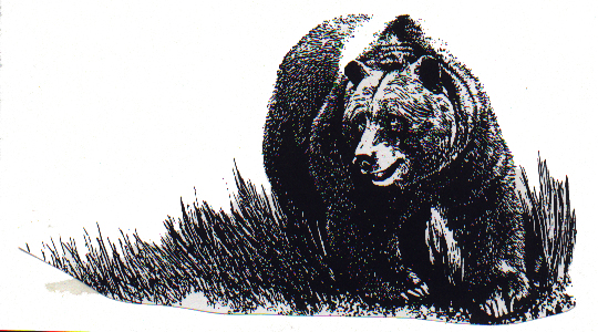 Stories of Summers Past