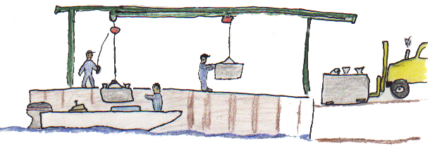 Fran's Last Fishing Trip 