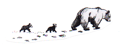 Tales from Parents and Community