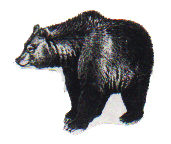 Tales from Our Elders