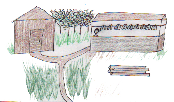 Nastasia Andrew's Summer 