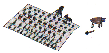 Jennifer's Fairbanks Summer 