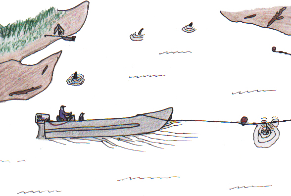 Andy's Blueberry Summer