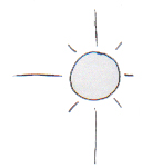 Martha Evan's Summer 