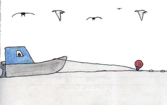 Tom's Volunteer Summer 