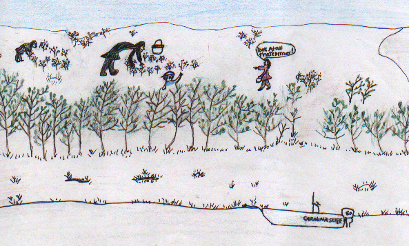 More Blueberries Than Ever Before 