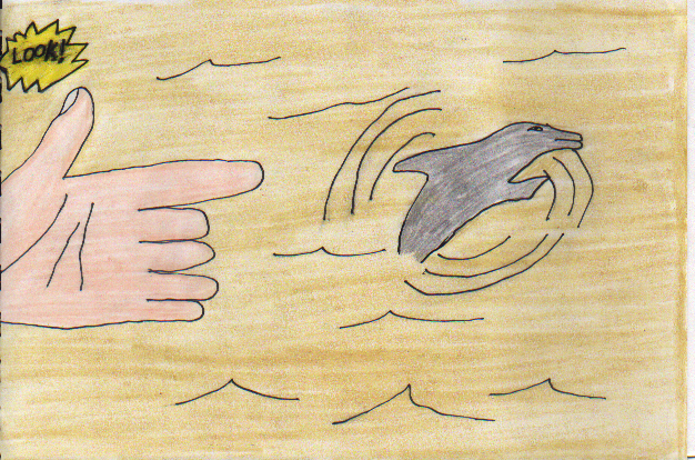 Dolphins in the Yukon