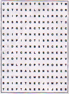 Word Search