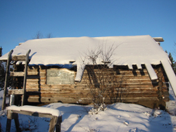  Tarpaper Cabin Roof