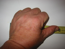 Nonstandard Measurements