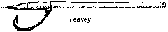 peavey