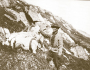 Remembering Our Heroes